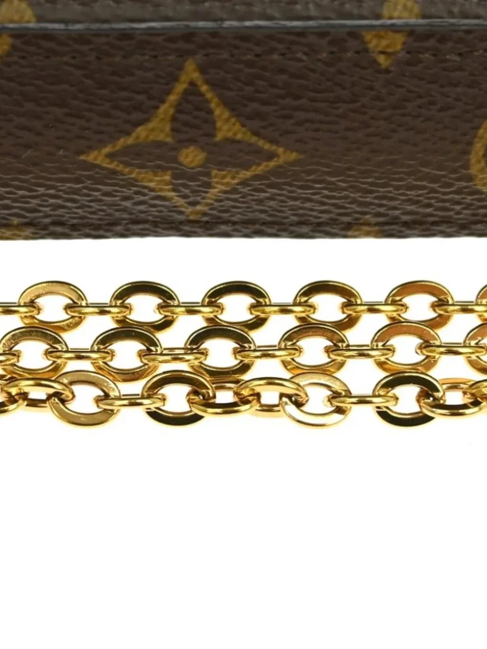 LOUIS VUITTON POCHETTE FELICIE VALENTINE DOG SHOULDER BAG